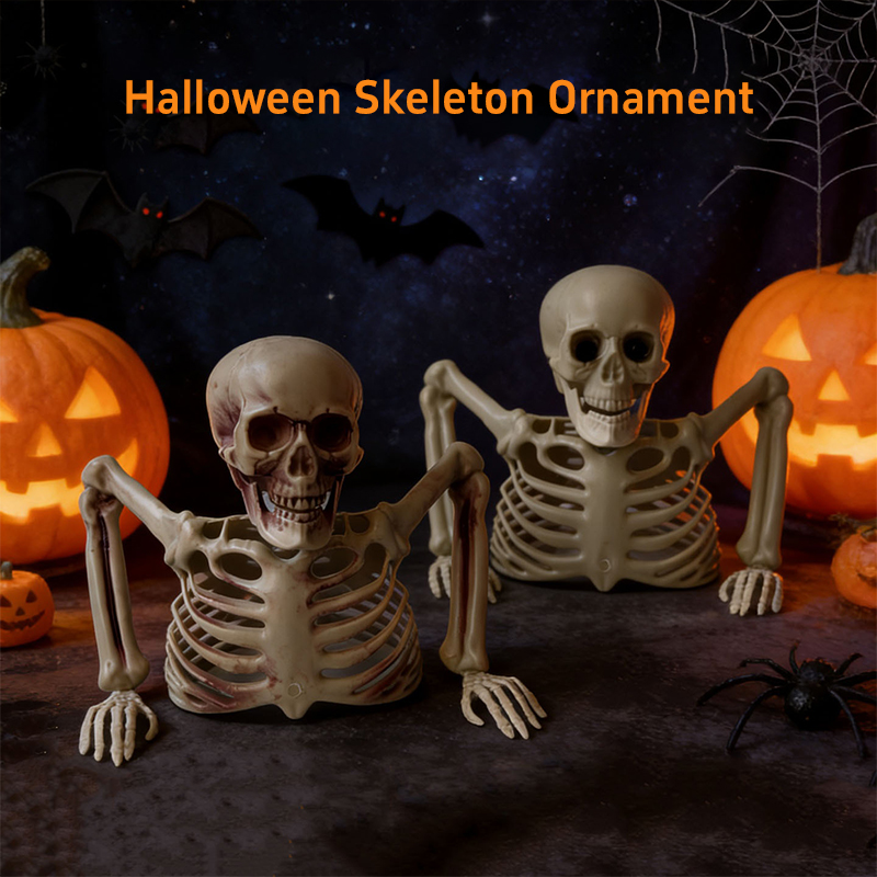 공포스러운 반쪽 해골 장식, 할로윈 해골 뼈 장식, 묘 - Halloween Skeleton Decoration 리뷰 및 가격